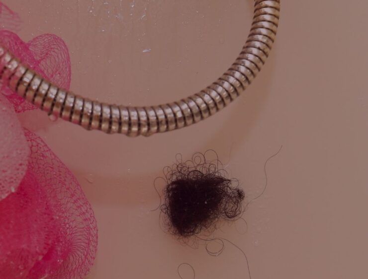 Hair shed rolled up on the shower wall.