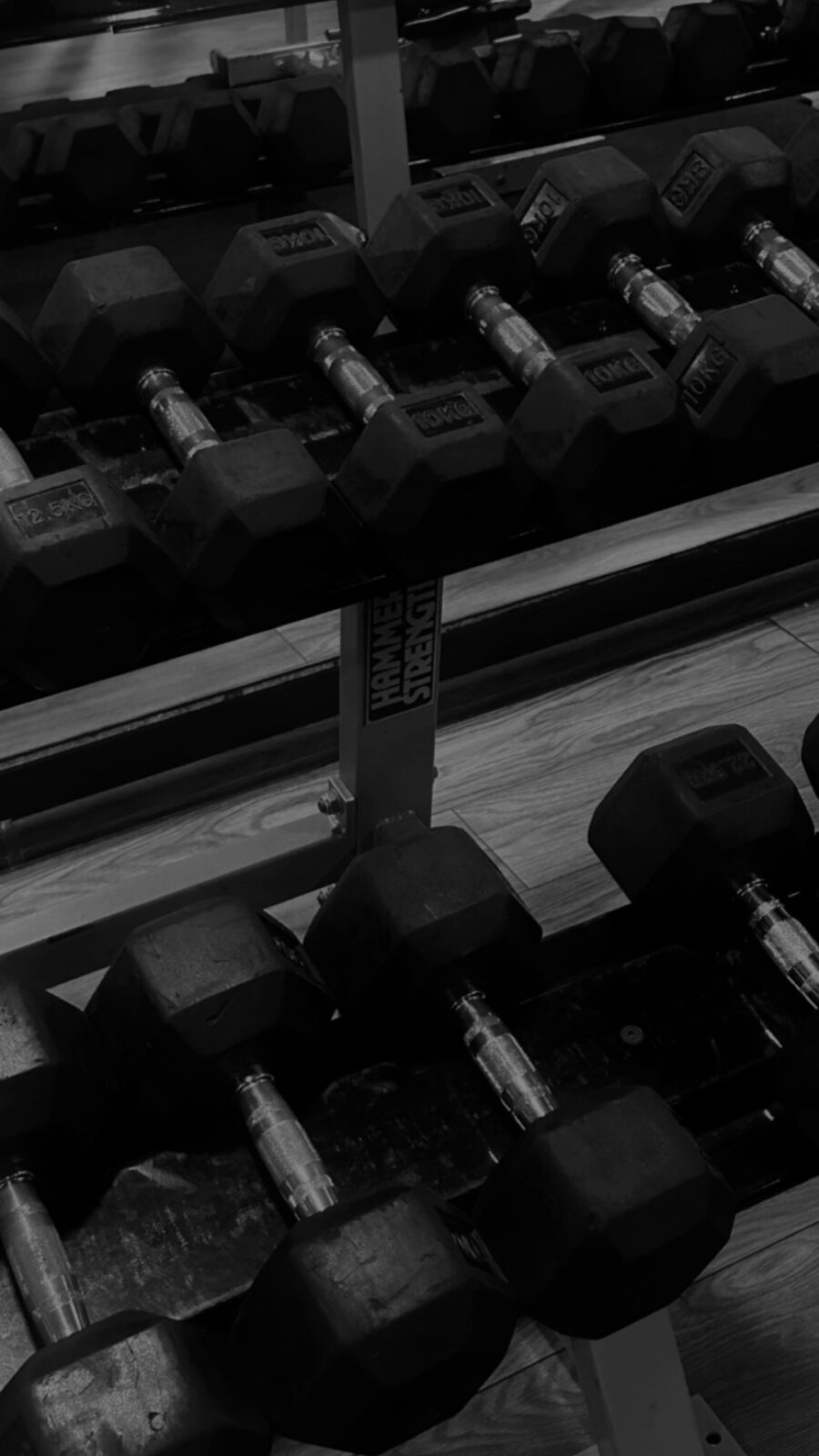 Dumbbells weights on a rack.