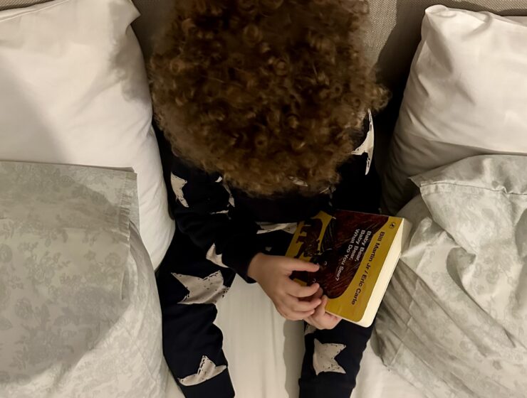 Top of the head of a child with curly hair.